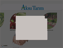Tablet Screenshot of aksutarim.com.tr